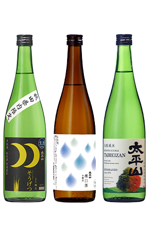 【春の特別企画】 限定梅セット 【限定50組】